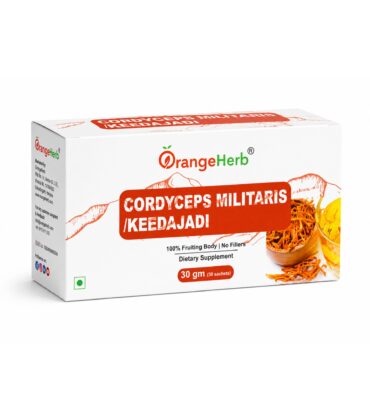 Cordyceps Militaris (Keedajadi) – 30g (30 Sachets)