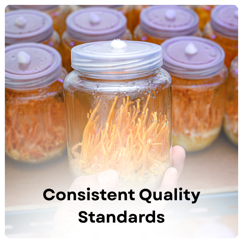 Consistent Quality Standards Img