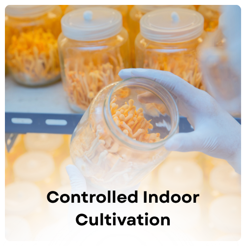 Controlled Indoor Cultivation Img