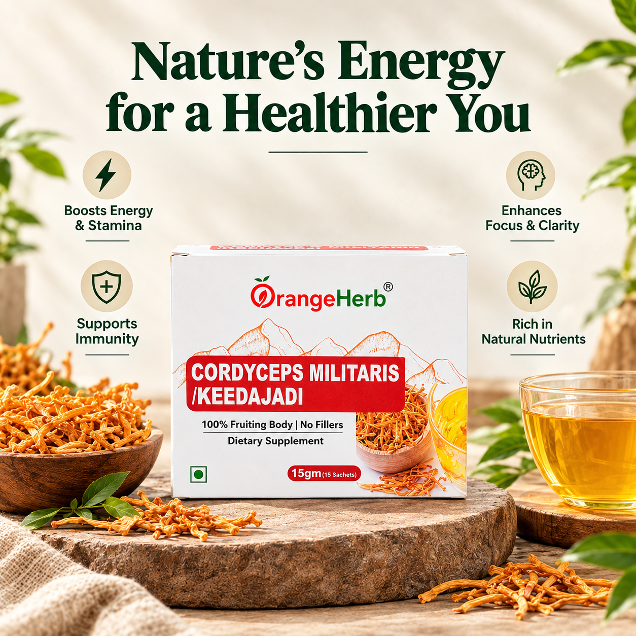 Cordyceps Militaris (Keedajadi) – 15g (15 Sachets) - Image 3