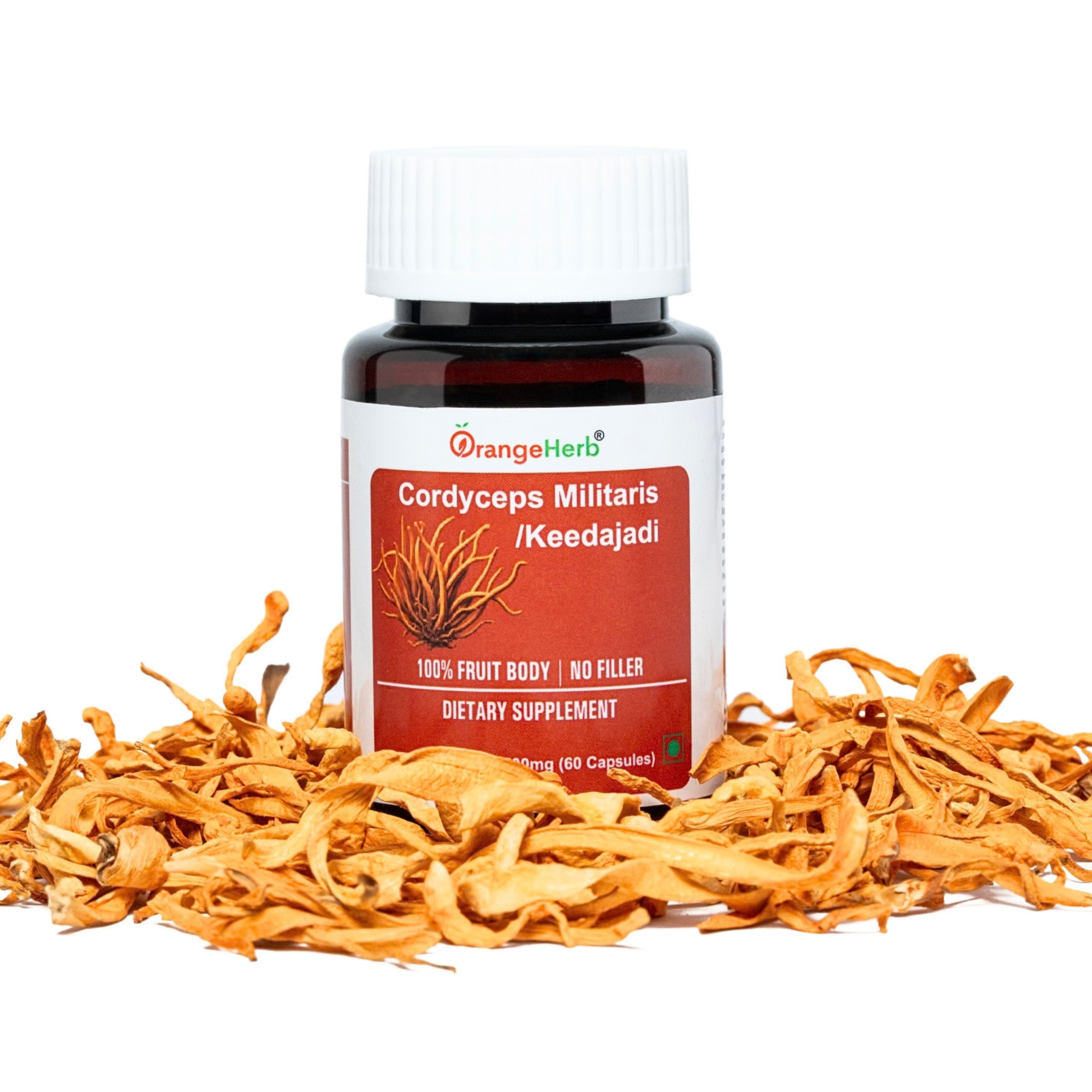 Cordyceps Militaris (Keedajadi) Capsules – 60 Veg Capsules | Orangeherb - Image 2