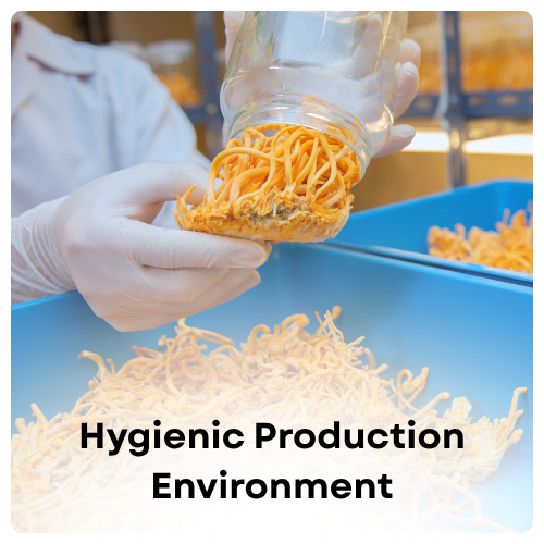 Hygienic Production Environment Img