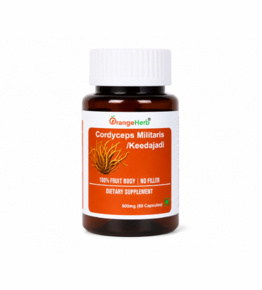 Cordyceps Militaris (Keedajadi) Capsules – 60 Veg Capsules | Orangeherb