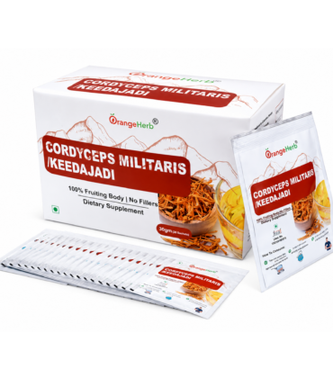 OrangeHerb Cordyceps Keedajadi