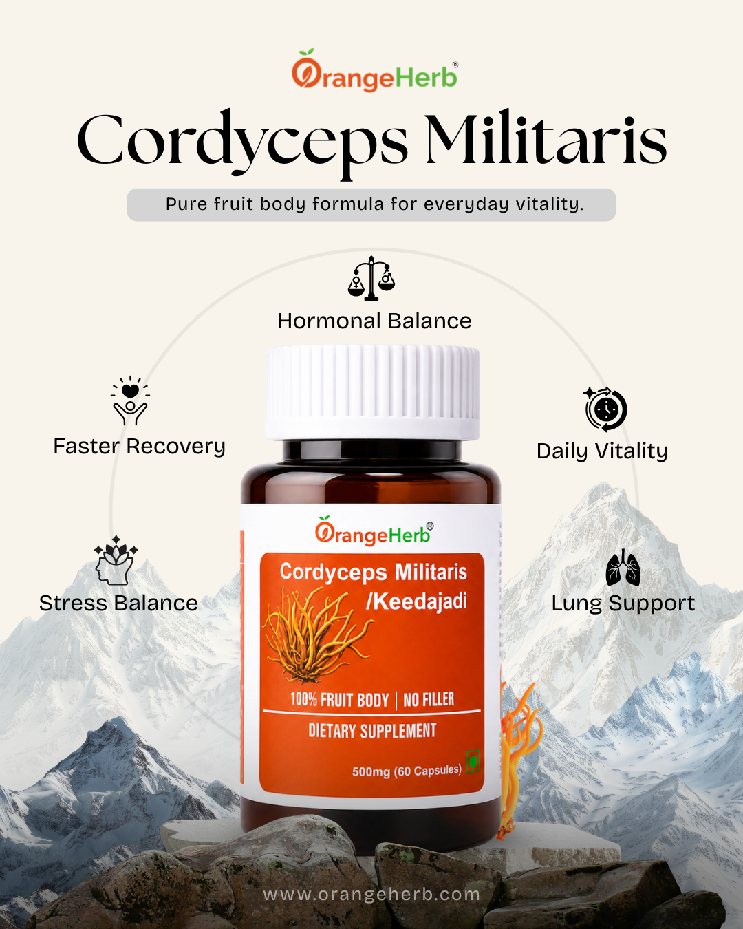 Cordyceps Militaris (Keedajadi) Capsules – 60 Veg Capsules | Orangeherb - Image 5