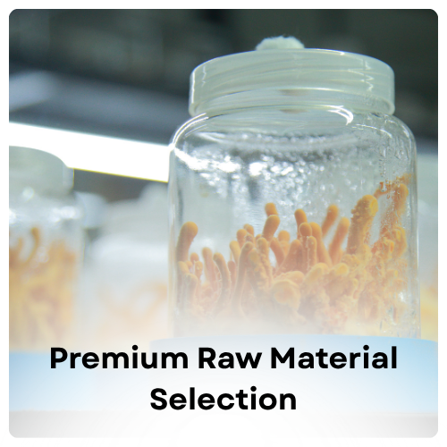 Premium Raw Material Selection Img