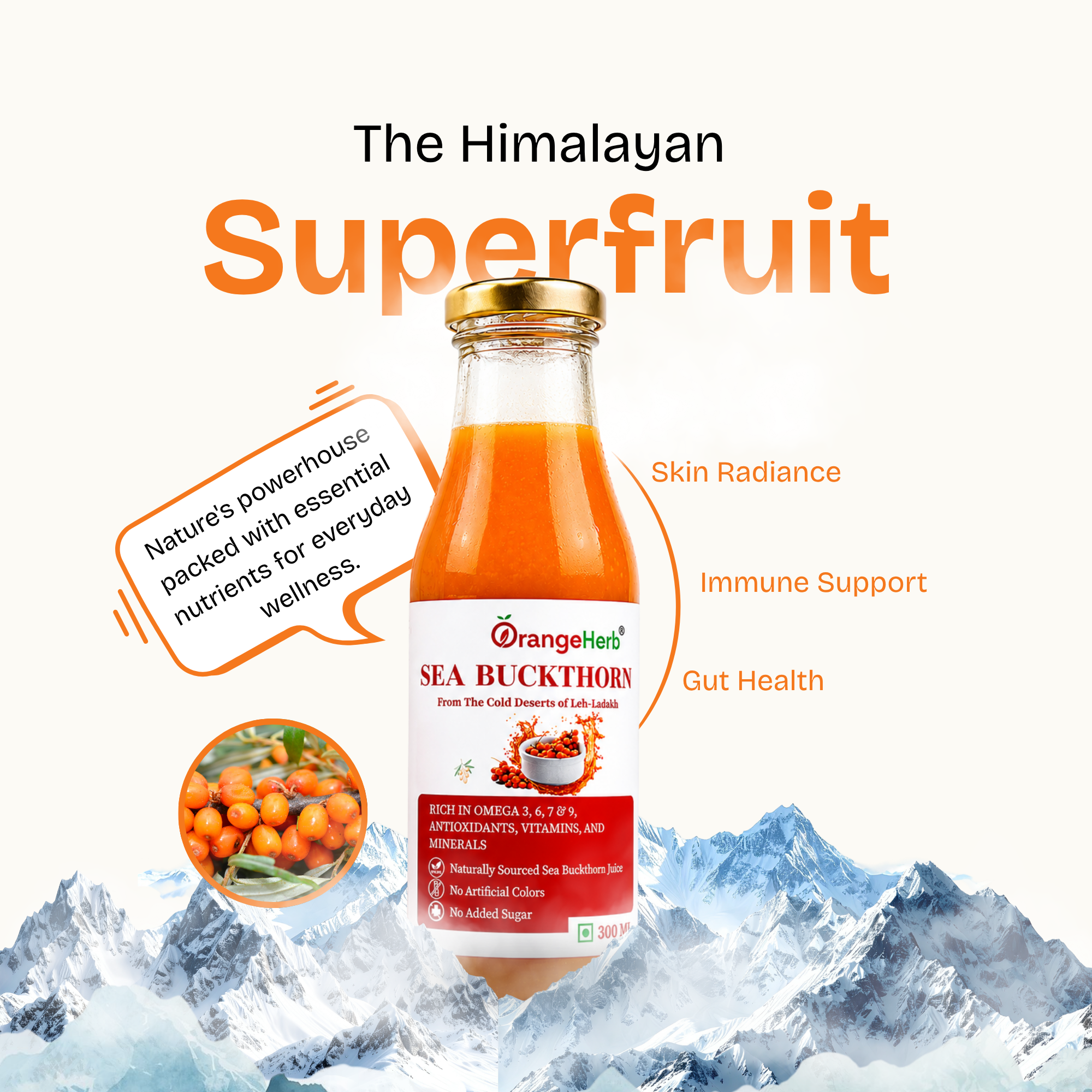 Sea Buckthron Pulp - 300ml - Image 2